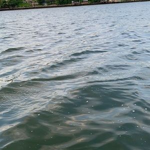 Meet your Posher, Fabian